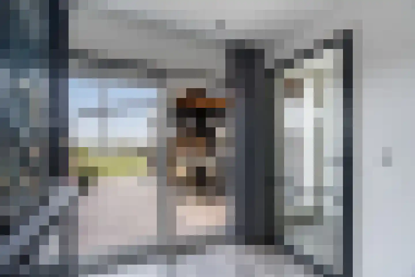 Berkelseweg 18 Pijnacker thumbnail 9