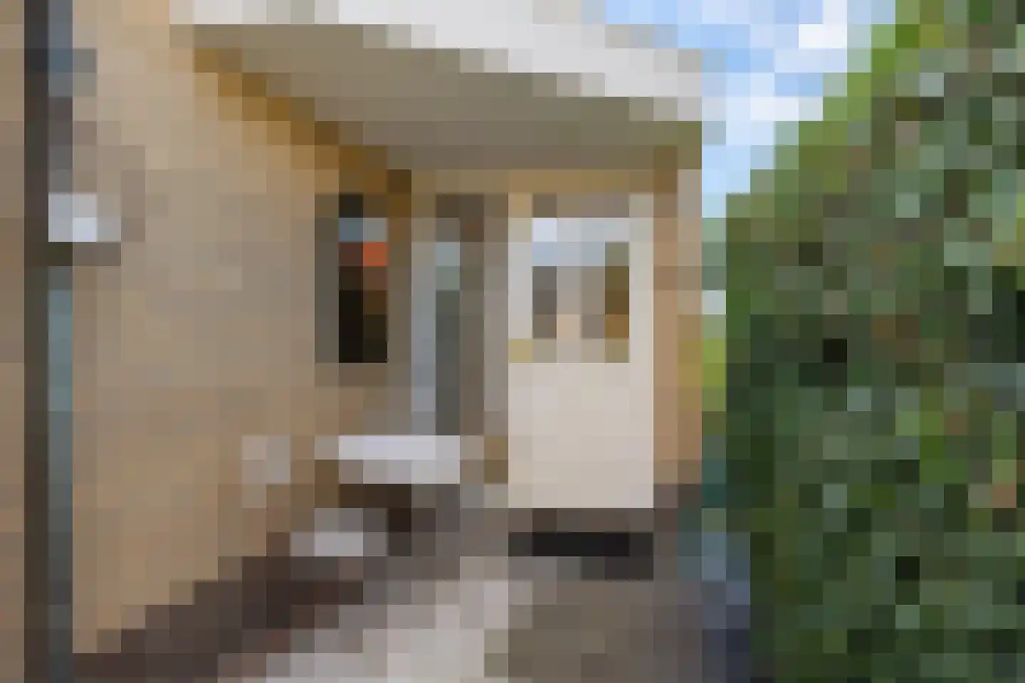 Berkelseweg 22 a Pijnacker thumbnail 10