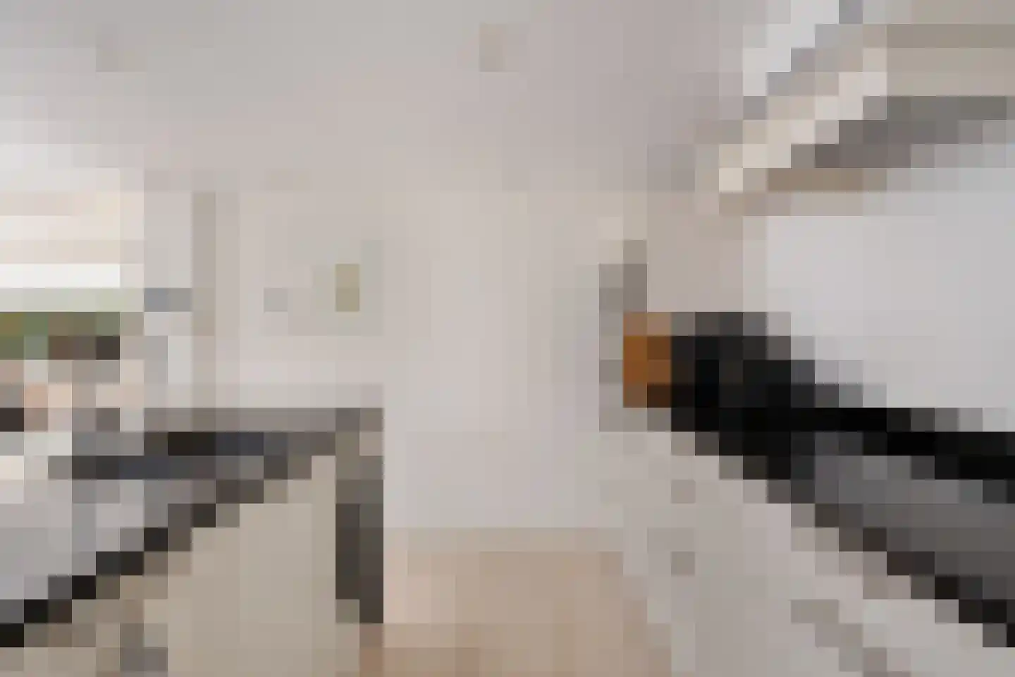Berkelseweg 22 a Pijnacker thumbnail 17