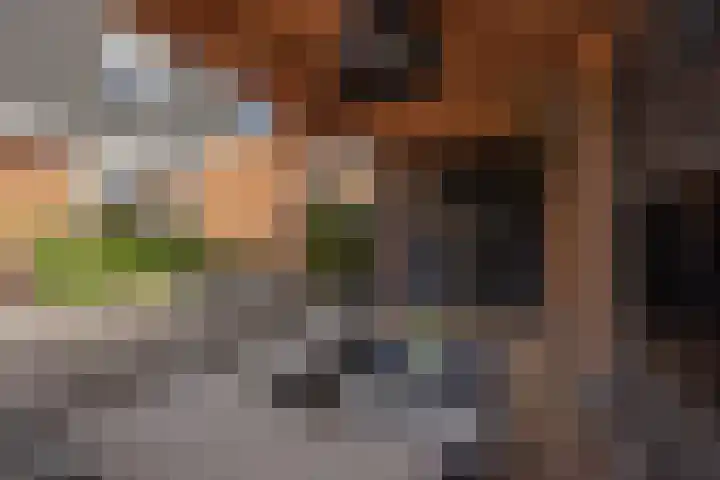 Berkelseweg 25 Zoetermeer thumbnail 14