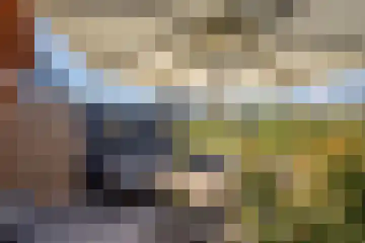 Berkelseweg 25 Zoetermeer thumbnail 16