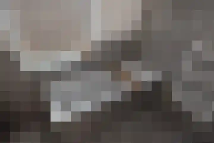 Berkelseweg 25 Zoetermeer thumbnail 34
