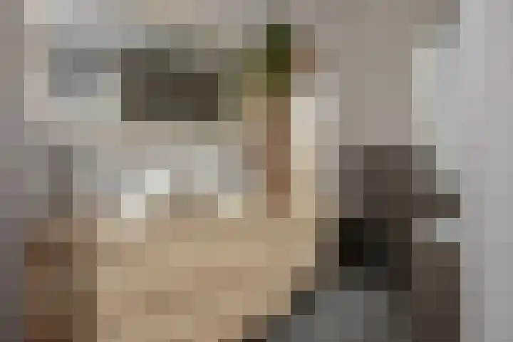 Berkelseweg 25 Zoetermeer thumbnail 35