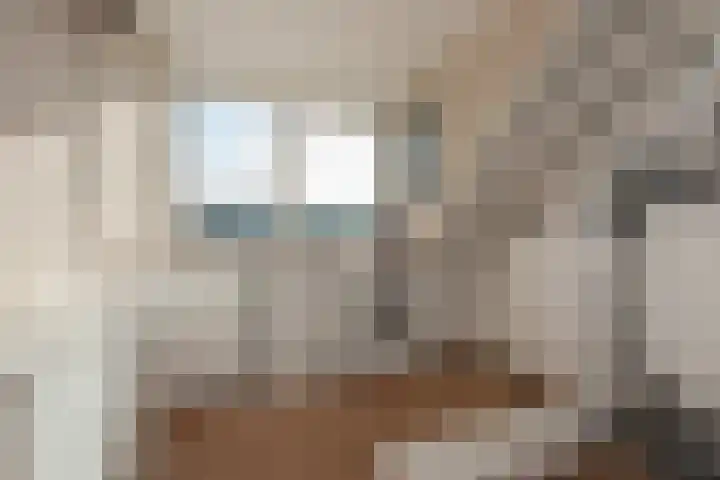 Berkelseweg 25 Zoetermeer thumbnail 47