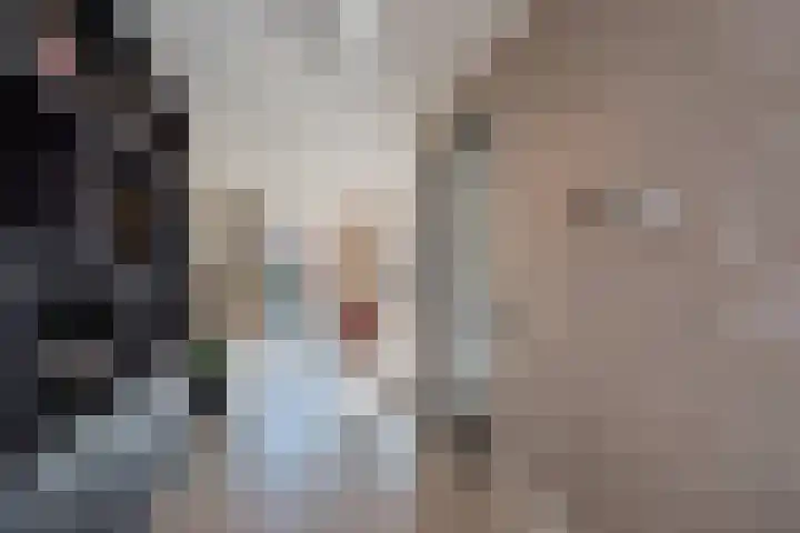Berkelseweg 25 Zoetermeer thumbnail 9