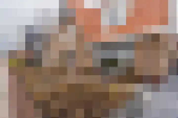 Berkelseweg 35 Zoetermeer thumbnail 11