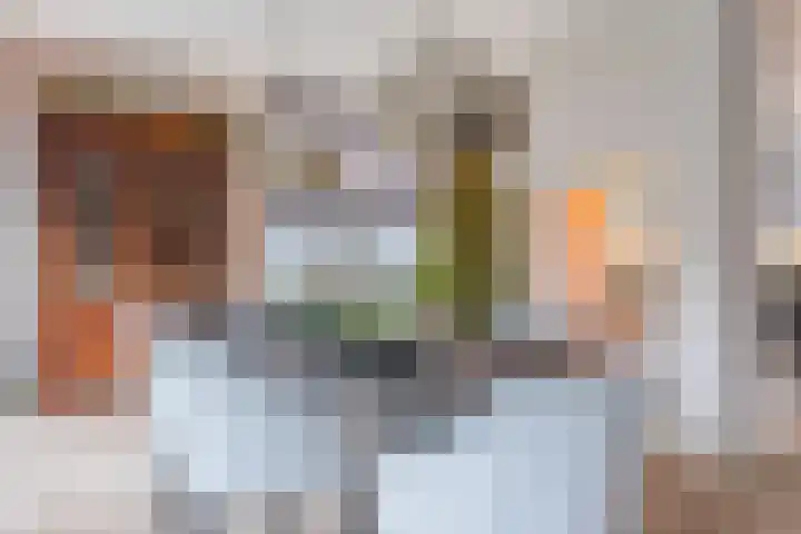 Berkelseweg 35 Zoetermeer thumbnail 21