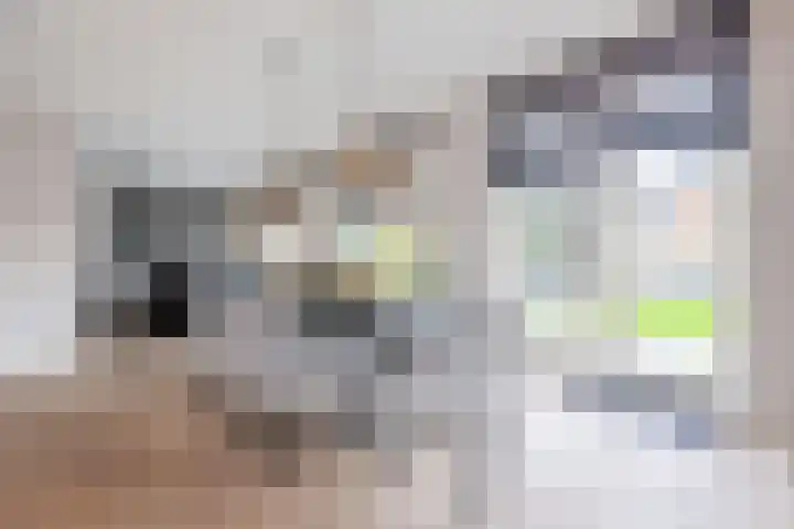 Berkelseweg 35 Zoetermeer thumbnail 23