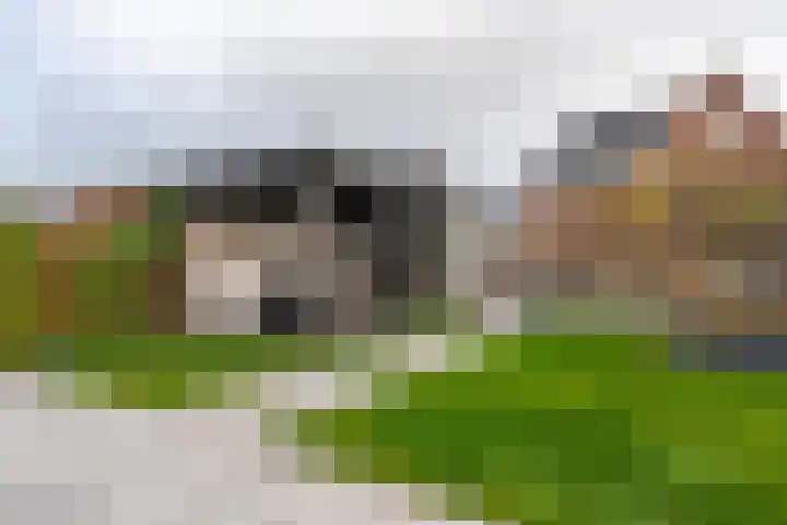 Berkelseweg 35 Zoetermeer thumbnail 31