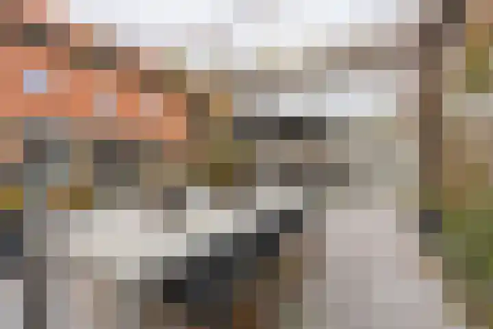 Berkelseweg 35 Zoetermeer thumbnail 36