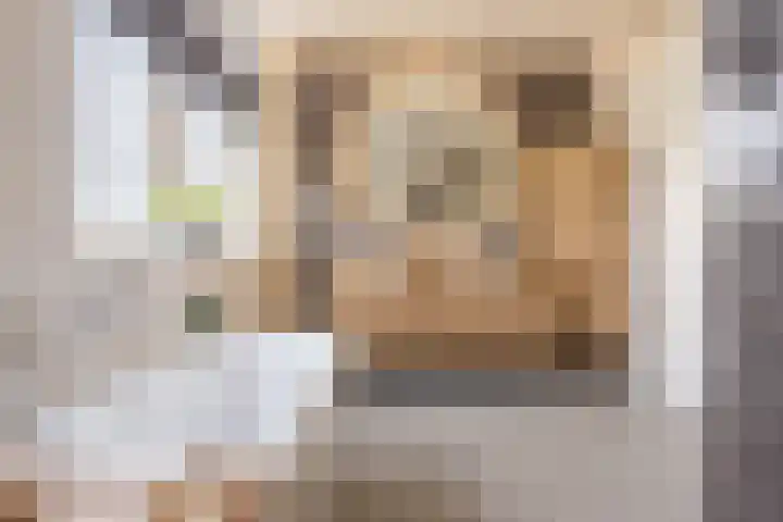 Berkelseweg 35 Zoetermeer thumbnail 43