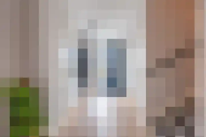 Berkelseweg 35 Zoetermeer thumbnail 5