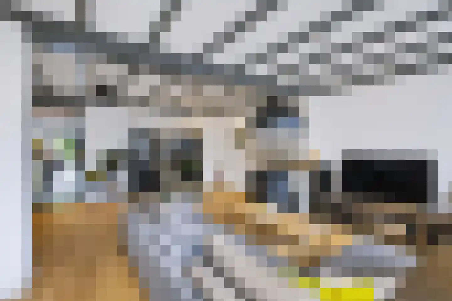 Berkelseweg 37 Udenhout thumbnail 15