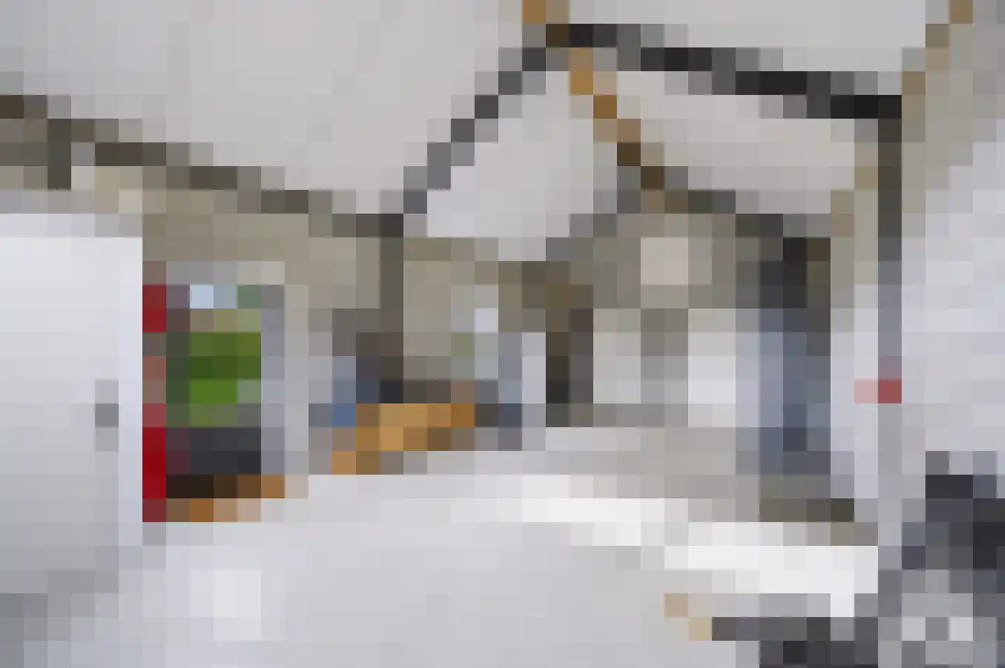 Berkelseweg 37 Udenhout thumbnail 6