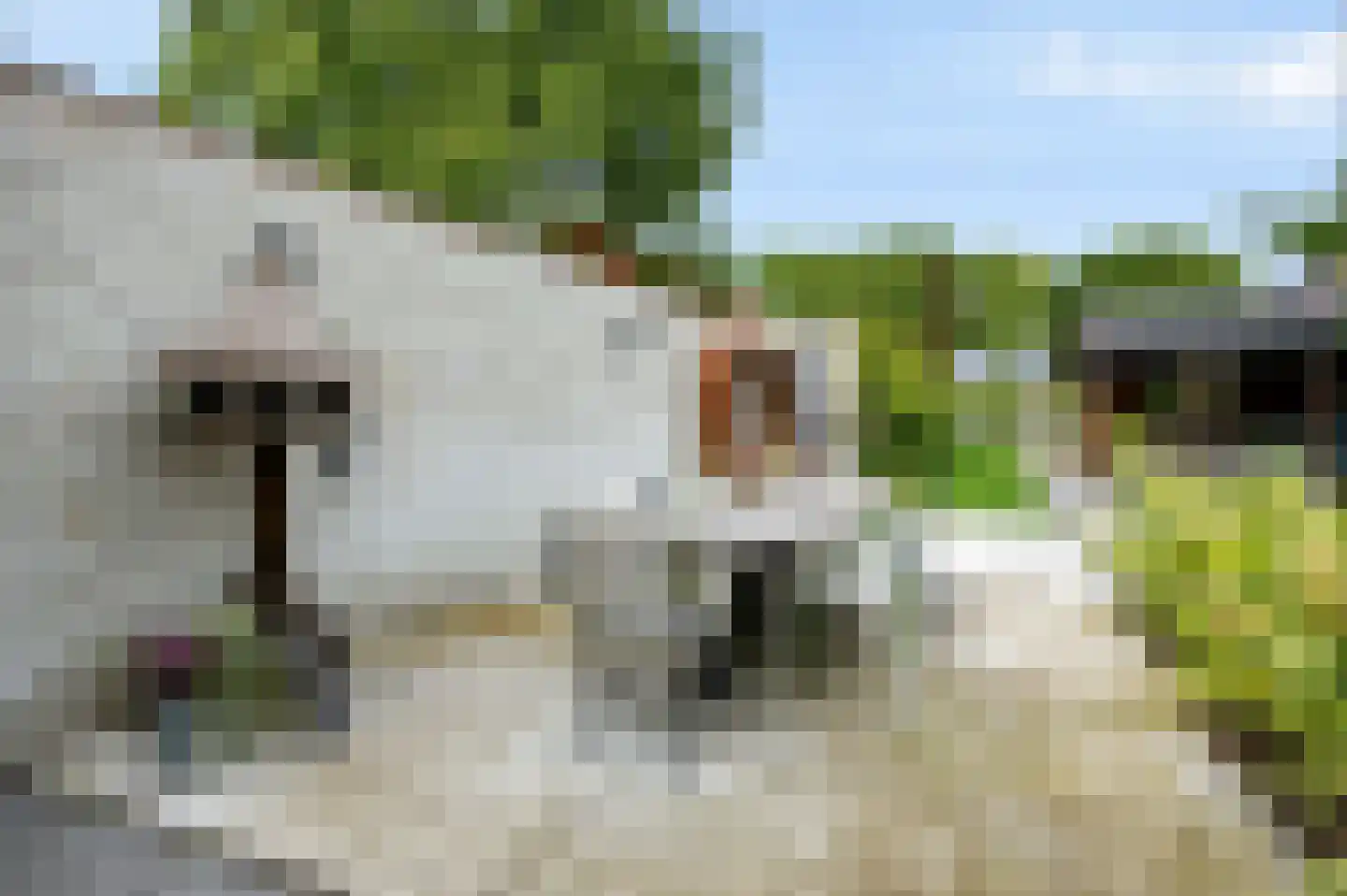 Berkelseweg 37 Udenhout thumbnail 67