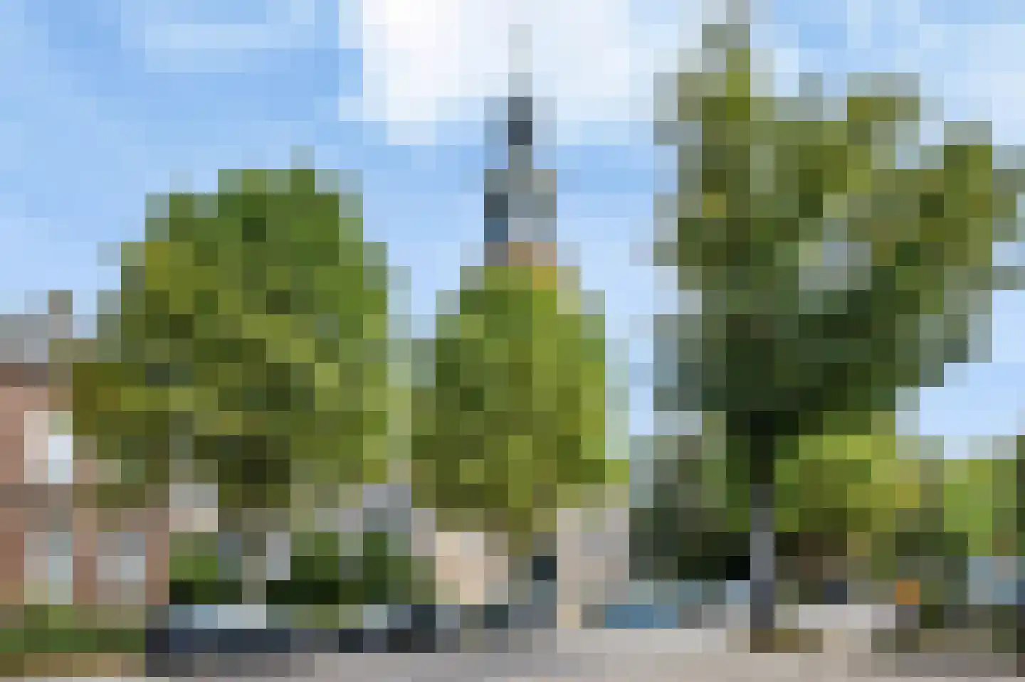Berkelseweg 37 Udenhout thumbnail 68