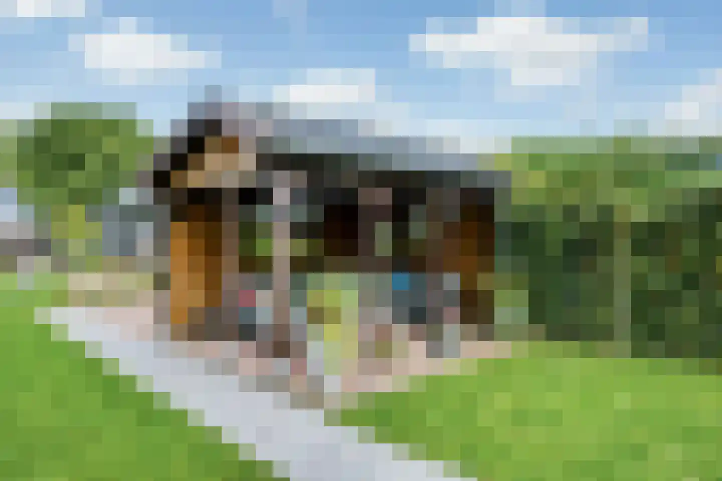 Berkelseweg 37 Udenhout thumbnail 8