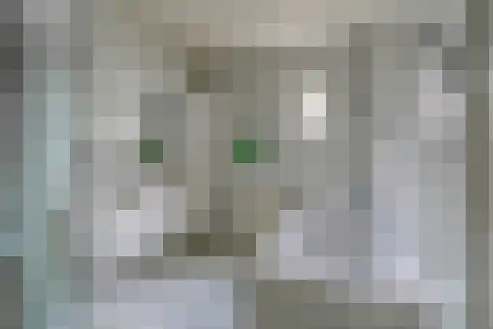 Berkelseweg 4 Udenhout thumbnail 21