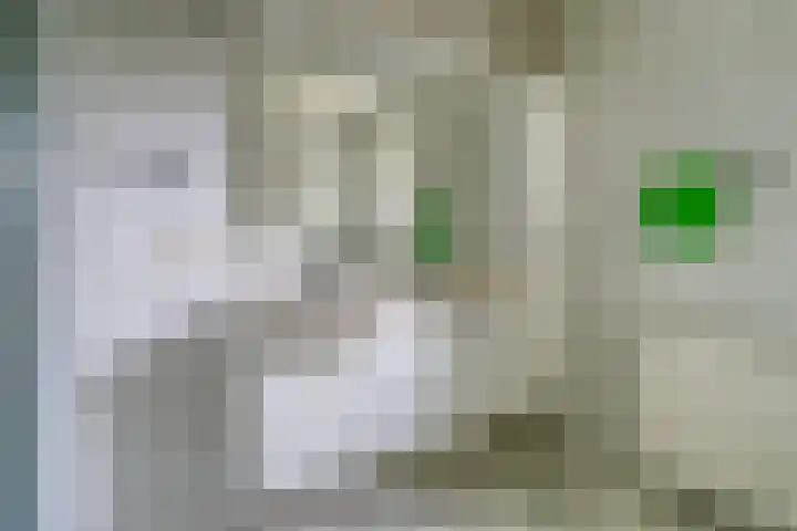 Berkelseweg 4 Udenhout thumbnail 22