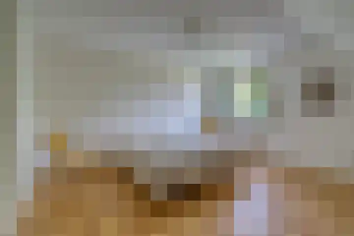 Berkelseweg 4 Udenhout thumbnail 27