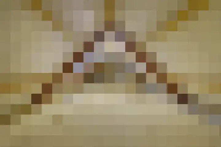 Berkelseweg 4 Udenhout thumbnail 37