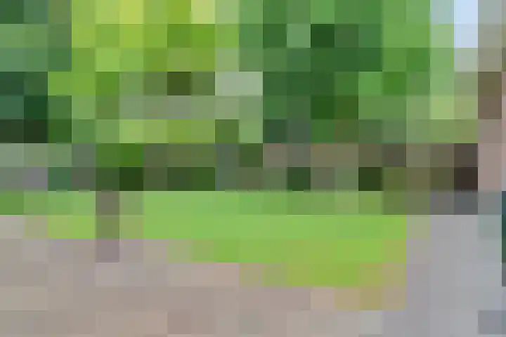 Berkelseweg 4 Udenhout thumbnail 38