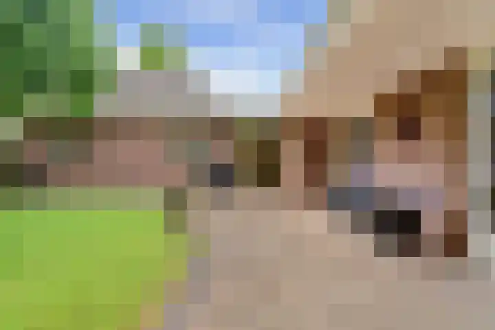 Berkelseweg 4 Udenhout thumbnail 43