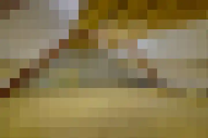 Berkelseweg 4 Udenhout thumbnail 46