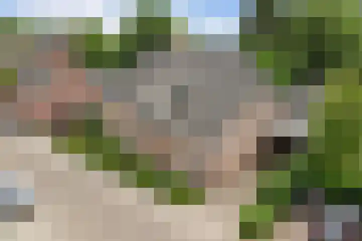 Berkelseweg 4 Udenhout thumbnail 52