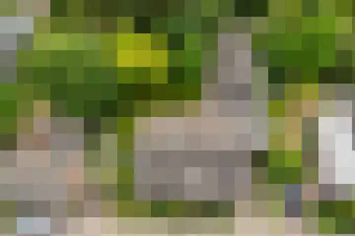 Berkelseweg 4 Udenhout thumbnail 53