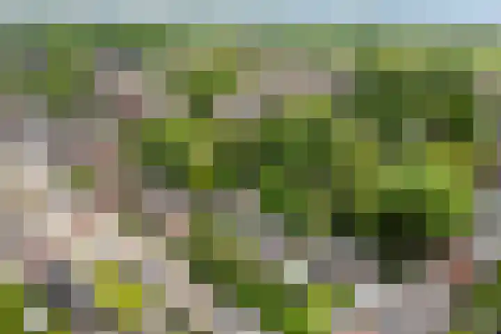 Berkelseweg 4 Udenhout thumbnail 54