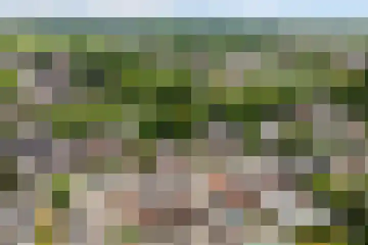 Berkelseweg 4 Udenhout thumbnail 55