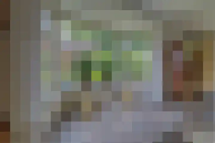 Berkelseweg 4 Udenhout thumbnail 7