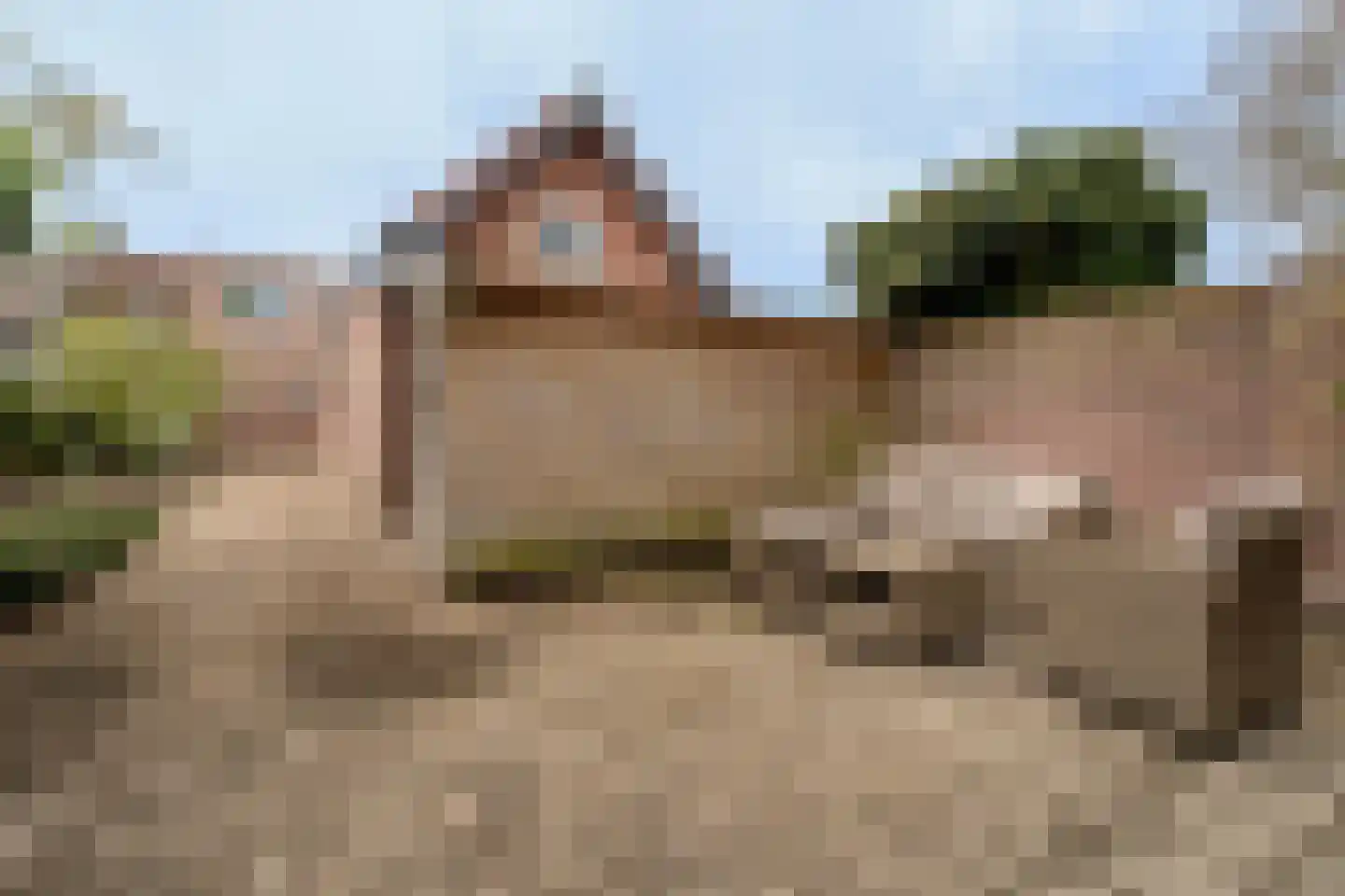 Berkelseweg 43 Udenhout thumbnail 33