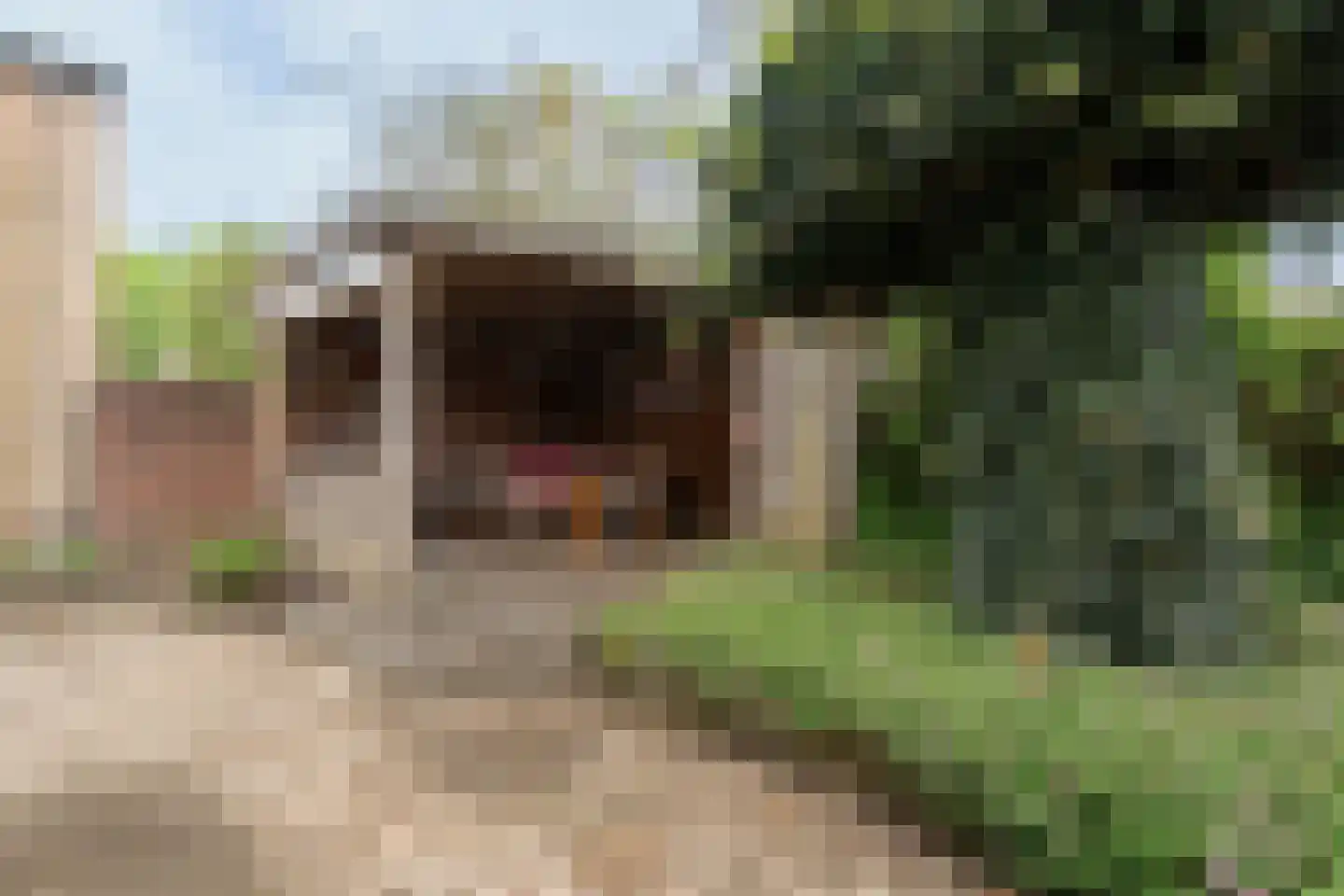 Berkelseweg 43 Udenhout thumbnail 34