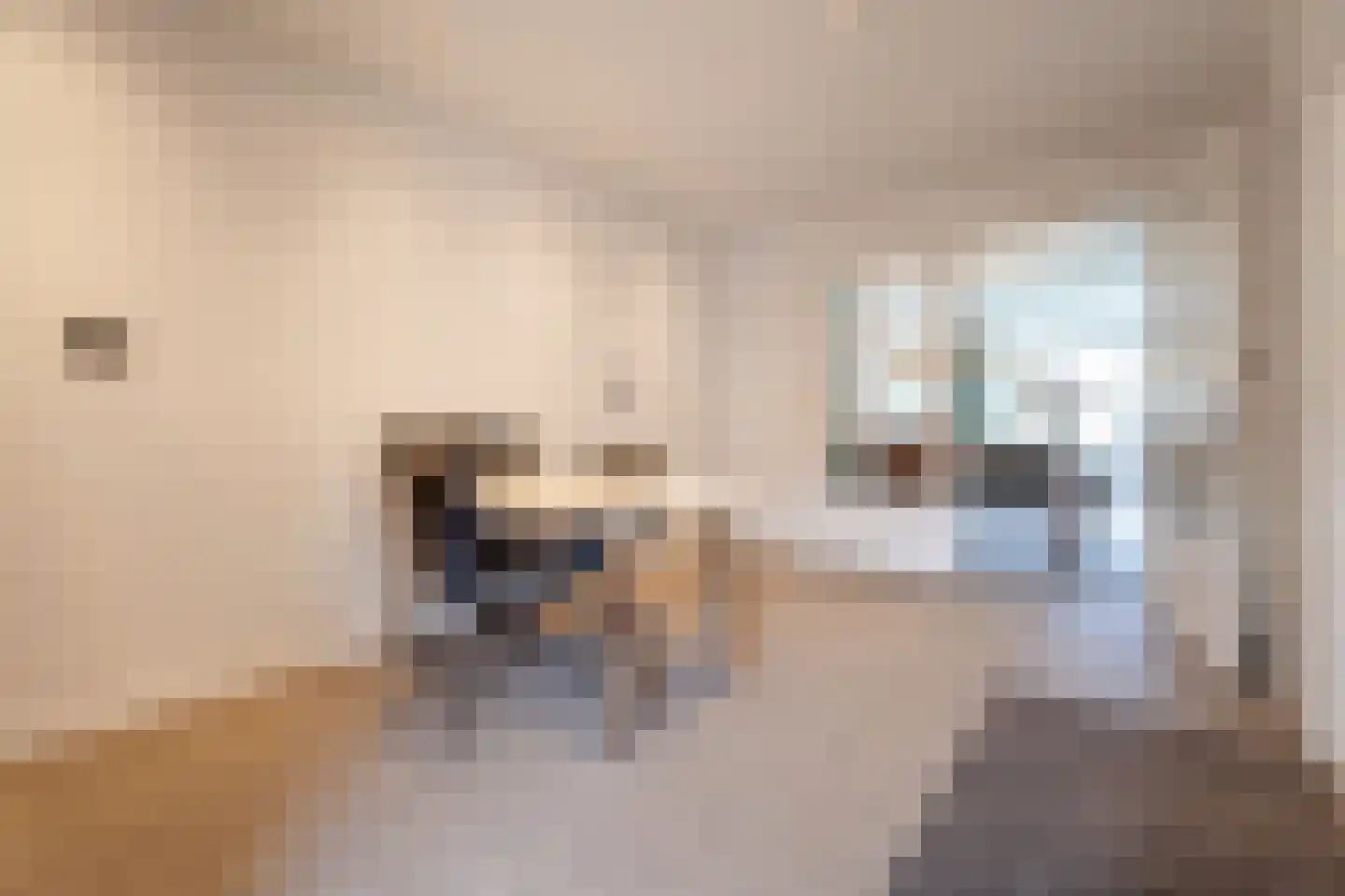 Berkelseweg 43 Udenhout thumbnail 7