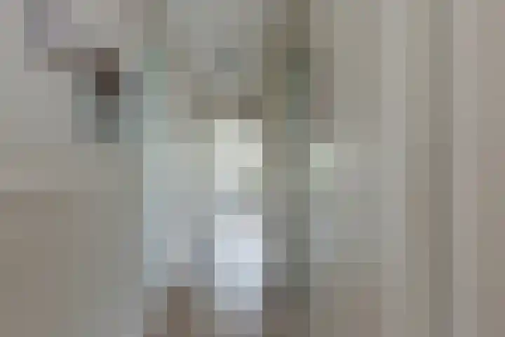Berkelsezoom 116 Berkel en Rodenrijs thumbnail 11