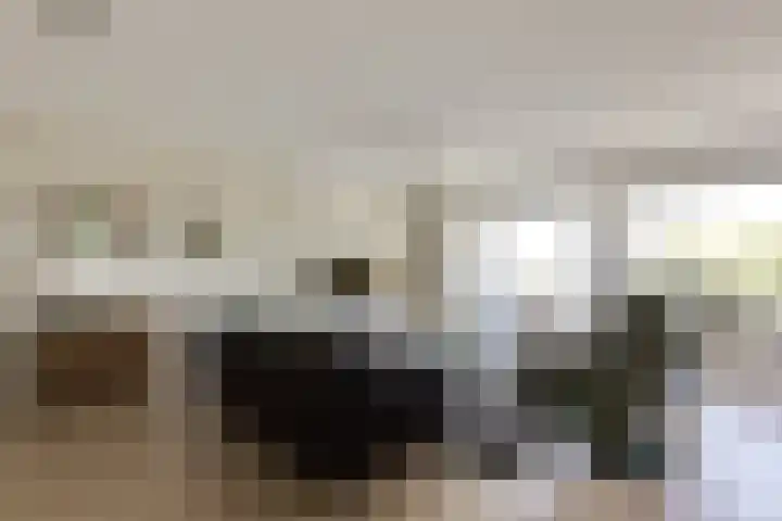 Berkelsezoom 116 Berkel en Rodenrijs thumbnail 12