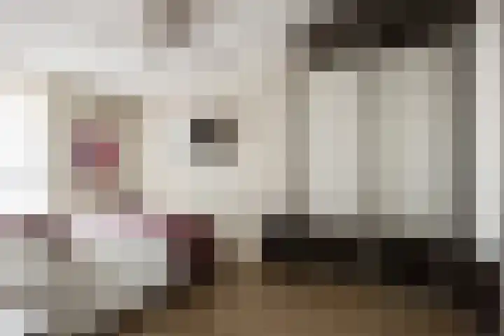 Berkelsezoom 116 Berkel en Rodenrijs thumbnail 21