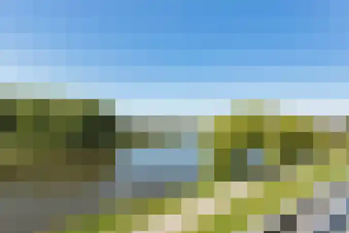 Berkelsezoom 116 Berkel en Rodenrijs thumbnail 32
