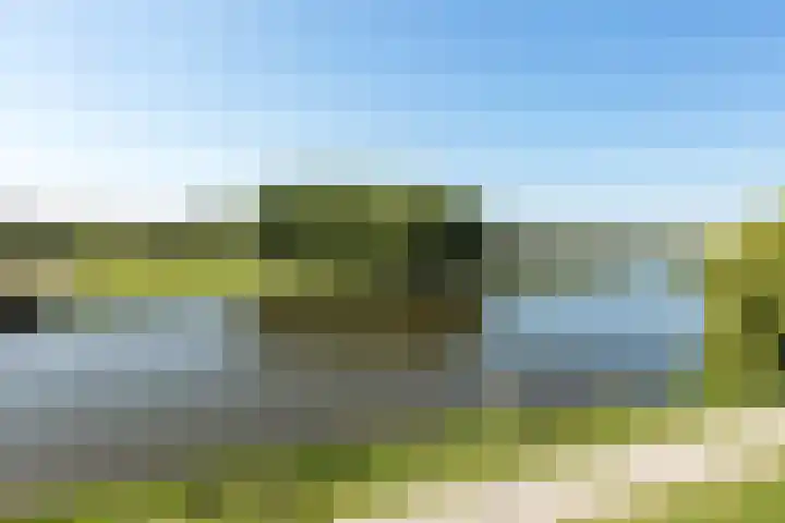 Berkelsezoom 116 Berkel en Rodenrijs thumbnail 33