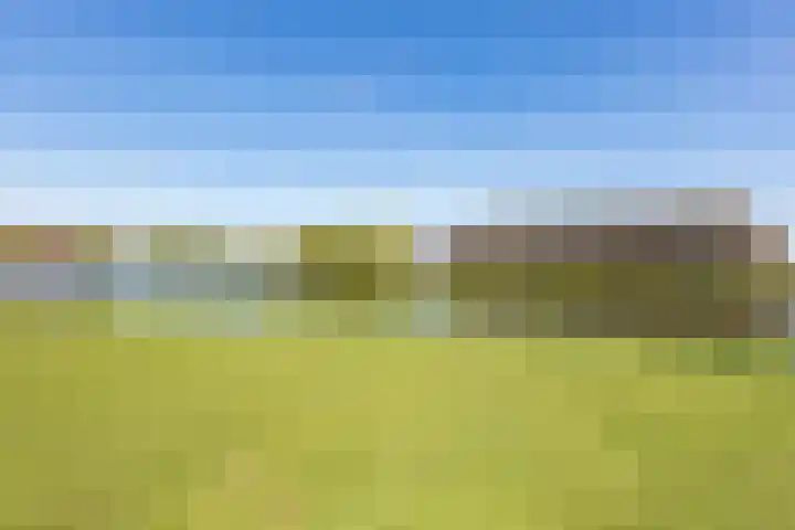 Berkelsezoom 116 Berkel en Rodenrijs thumbnail 5