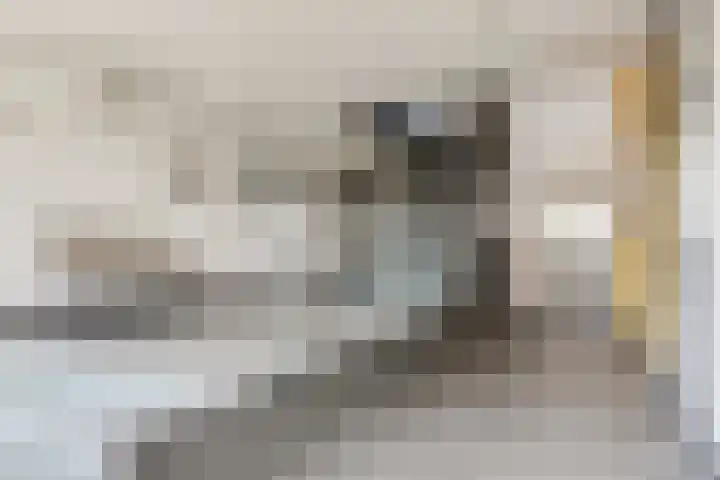 Berkelsezoom 116 Berkel en Rodenrijs thumbnail 7