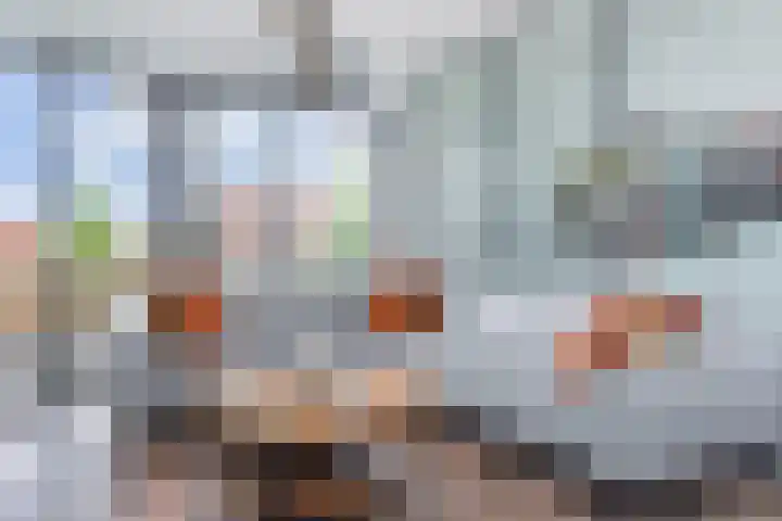 Berkelsezoom 40 Berkel en Rodenrijs thumbnail 13
