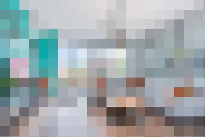 Berkelsezoom 40 Berkel en Rodenrijs thumbnail 14