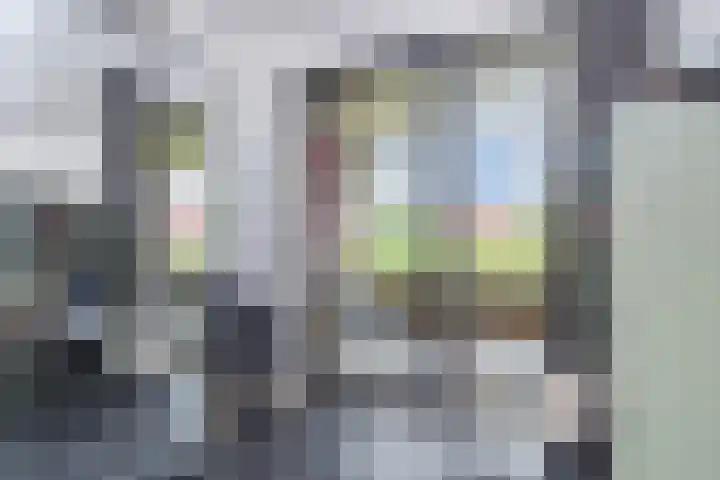 Berkelsezoom 40 Berkel en Rodenrijs thumbnail 15