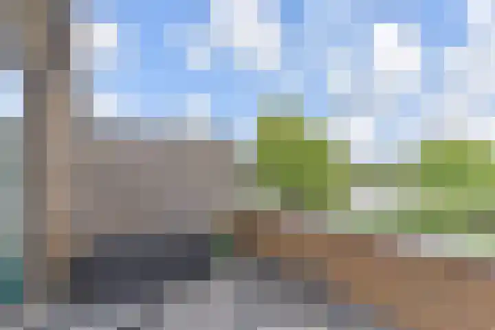 Berkelsezoom 40 Berkel en Rodenrijs thumbnail 16