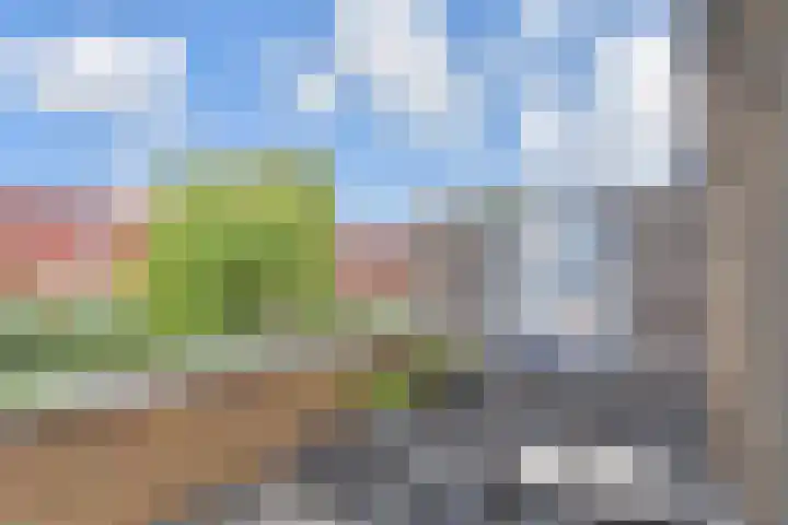 Berkelsezoom 40 Berkel en Rodenrijs thumbnail 17