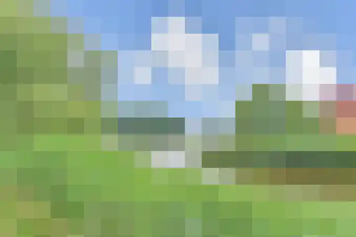 Berkelsezoom 40 Berkel en Rodenrijs thumbnail 18