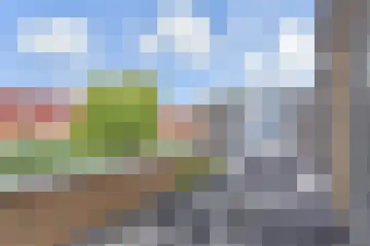Berkelsezoom 40 Berkel en Rodenrijs thumbnail 19